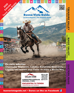 Buena Vista Guide Front Cover Download