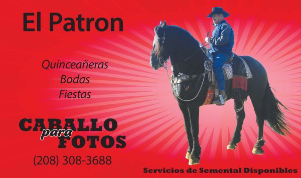 El Patron